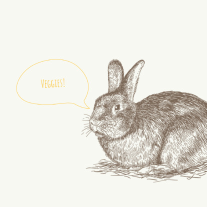 Teaser Hase grun 2x