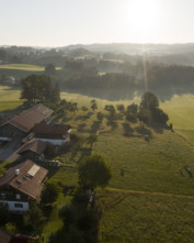 Moarwirt summer 2020 aerial 8020
