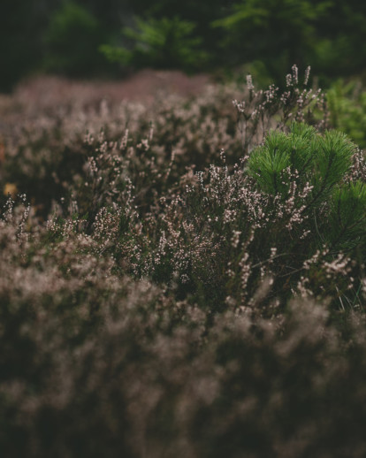 Moarhof mood 2 1038